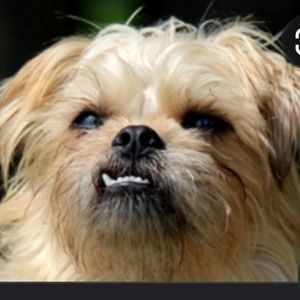 Meet your Posher, Tania